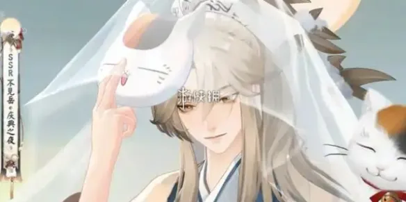 阴阳师不见岳庆典之夜皮肤售价多少